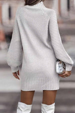 Load image into Gallery viewer, Turtleneck Long Sleeve Hip-Covering Sweater Dress